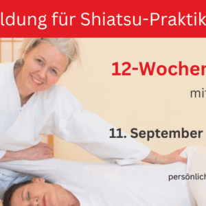 Premium Ausbildung: OHASHI Method® für Shiatsu-Praktiker und -Schüler